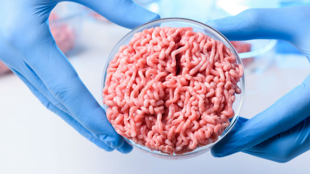 Image result for cultured meat