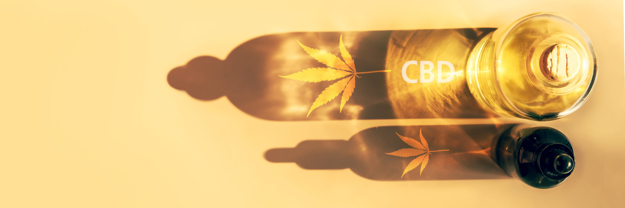 Trendy sunlight and shadows from CBD oil bottles on light background Creative composition, minimalism concept Banner