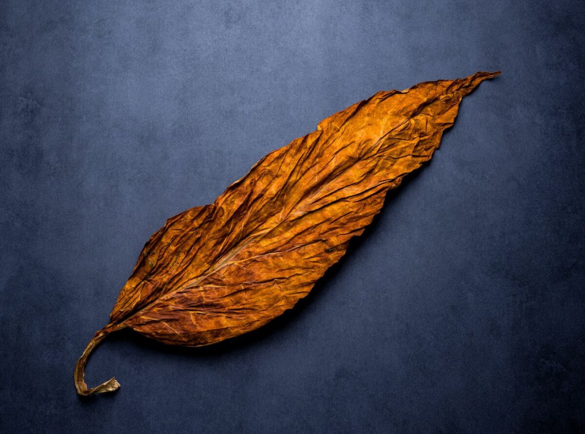 2024 Tobacco and Nicotine Products Regulatory Science Symposium Agenda Food and Drug Law